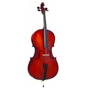 Antoni ACC35 Debut Cello Outfit 1/2 Size