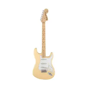 فيندر 0107112841 Mn-Vwt Masteen Strat