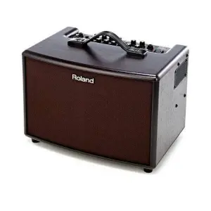 رولاند Ac-60 Rw جيتار مضخم صوت
