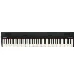Roland Digital Piano (GO-88PX)