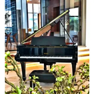 Yorx Grand Piano HG-152-EP Ebony Polish With Bench